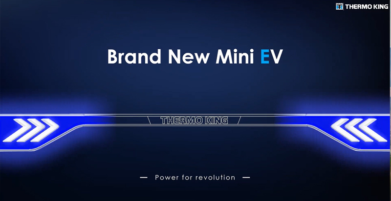 Mini-EV-sales-presentation